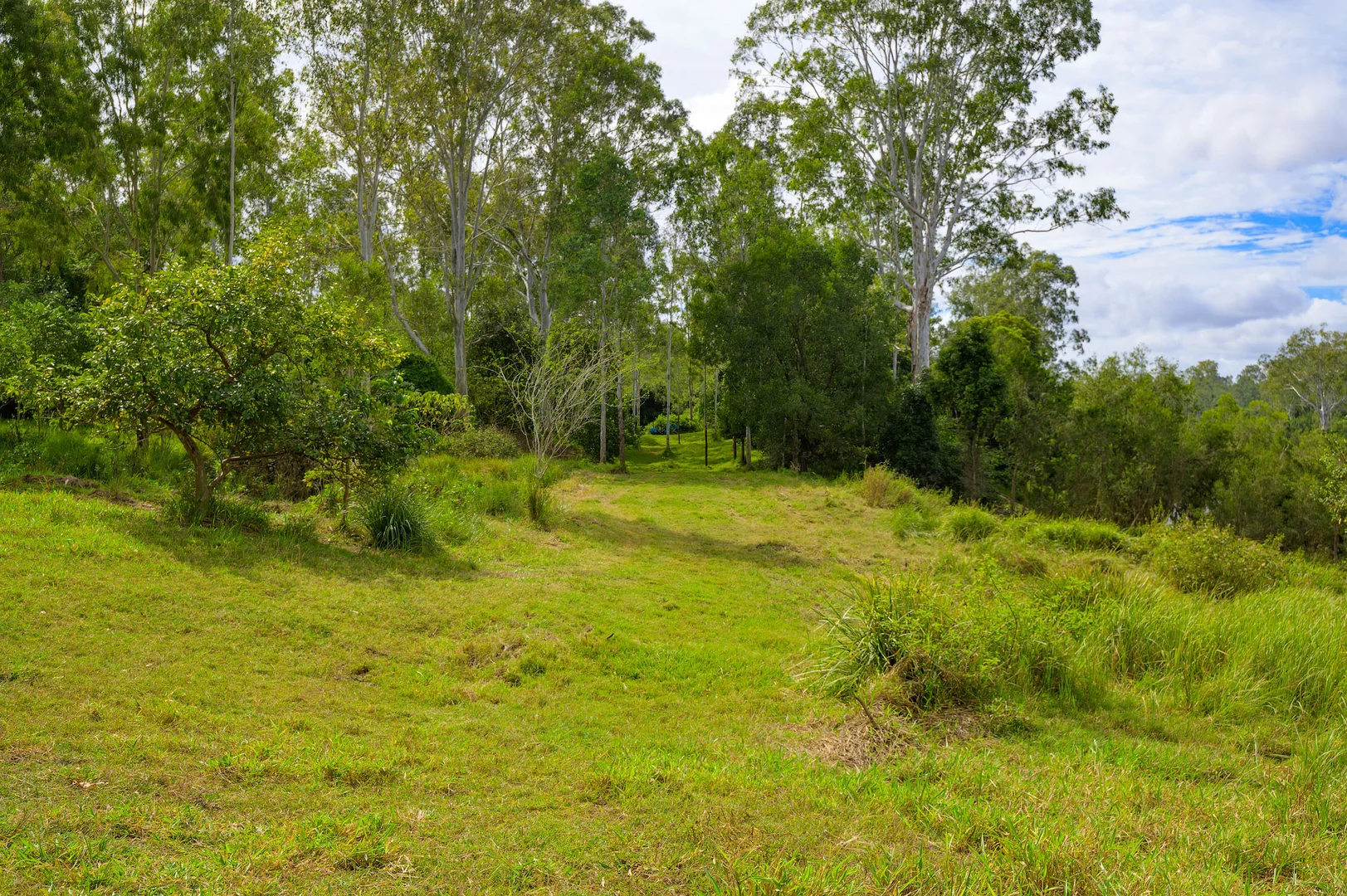 Image 37