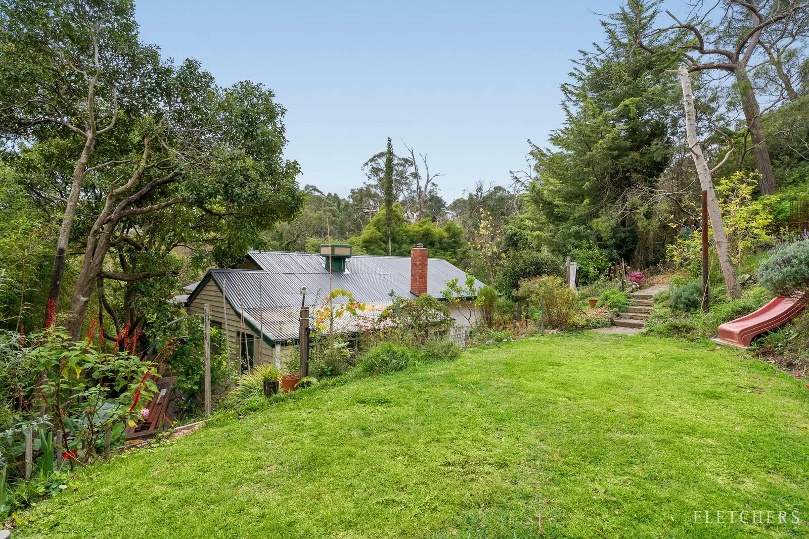 Image 11
