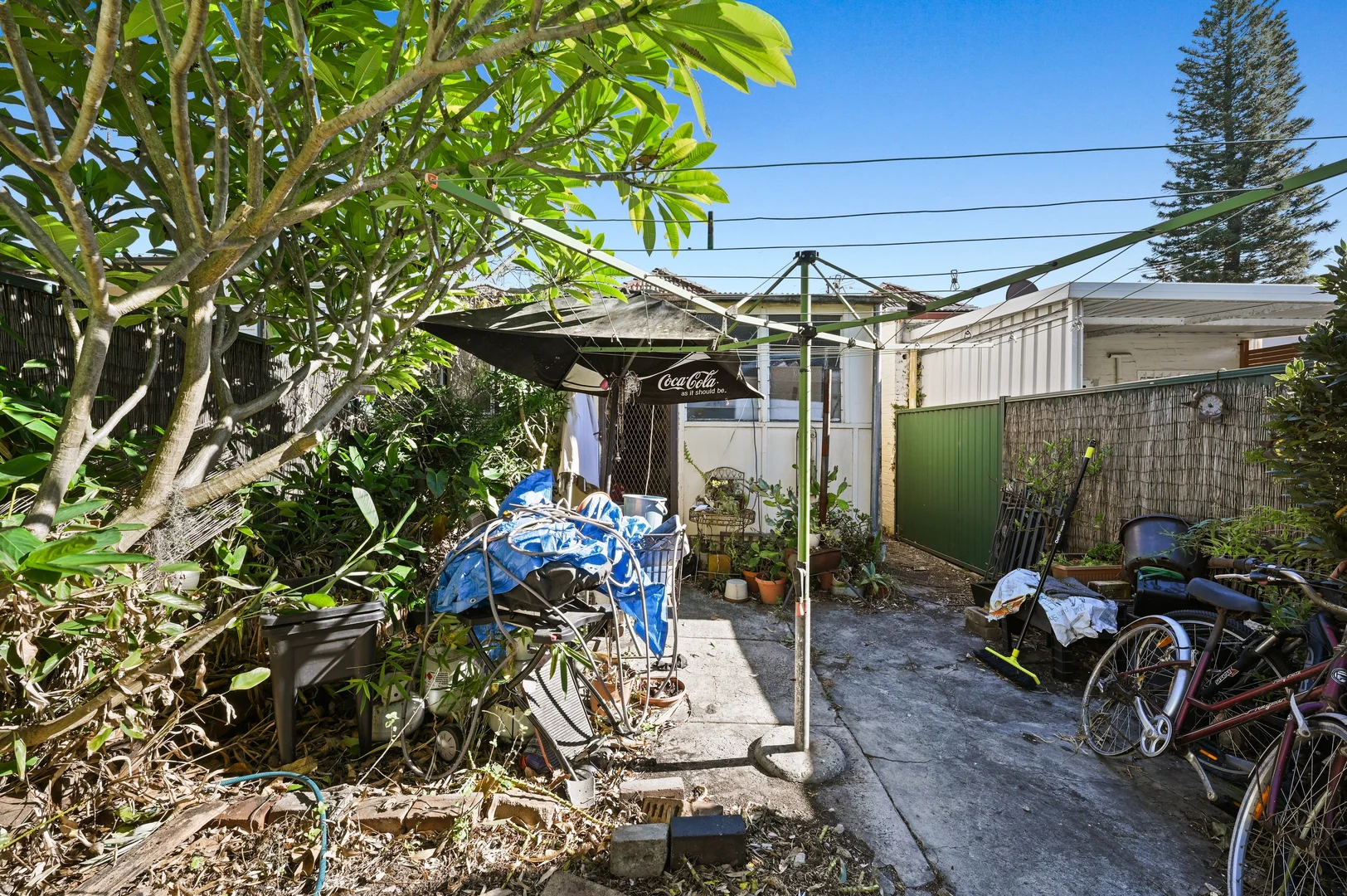 Image 8