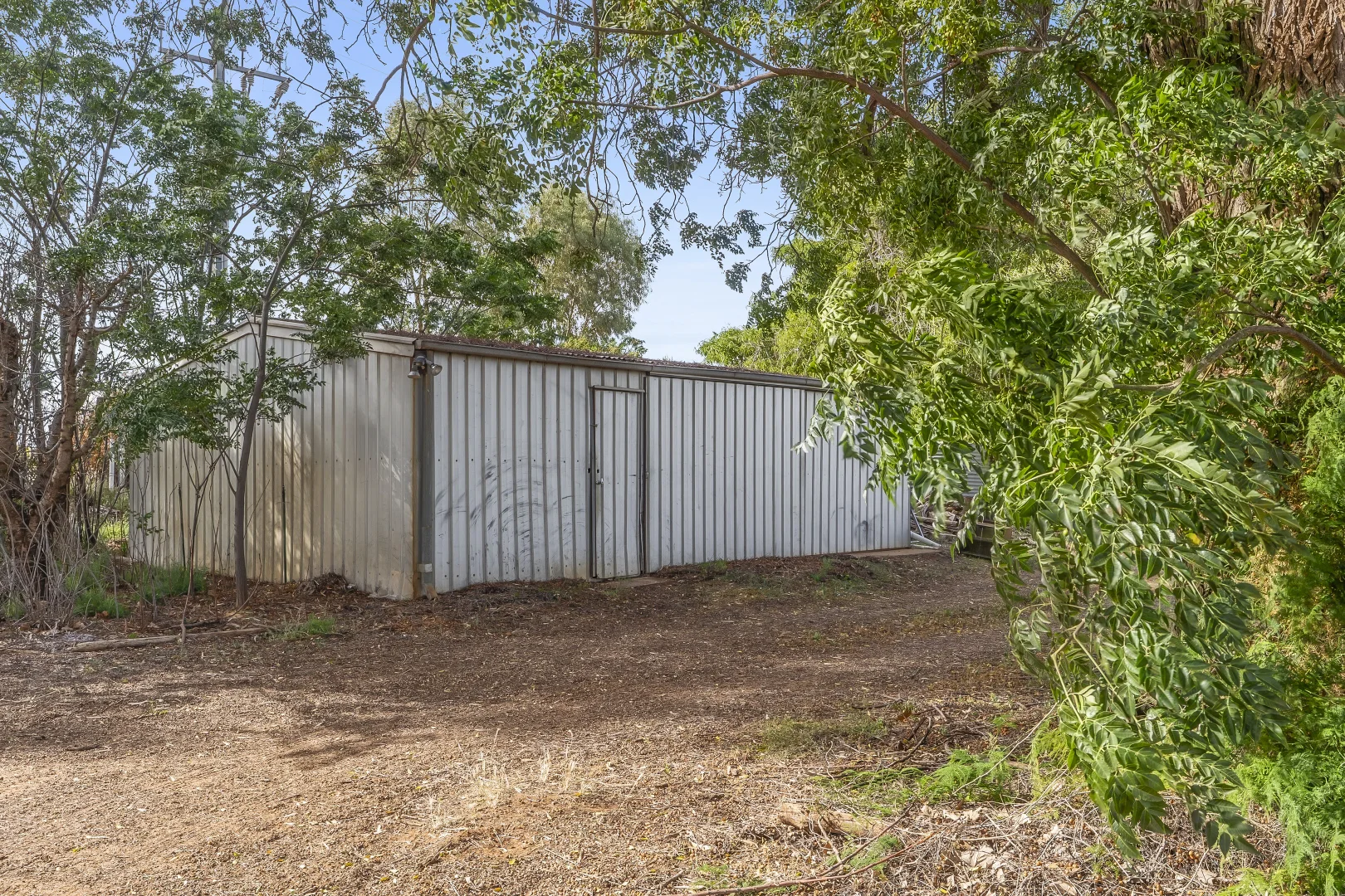 Image 10