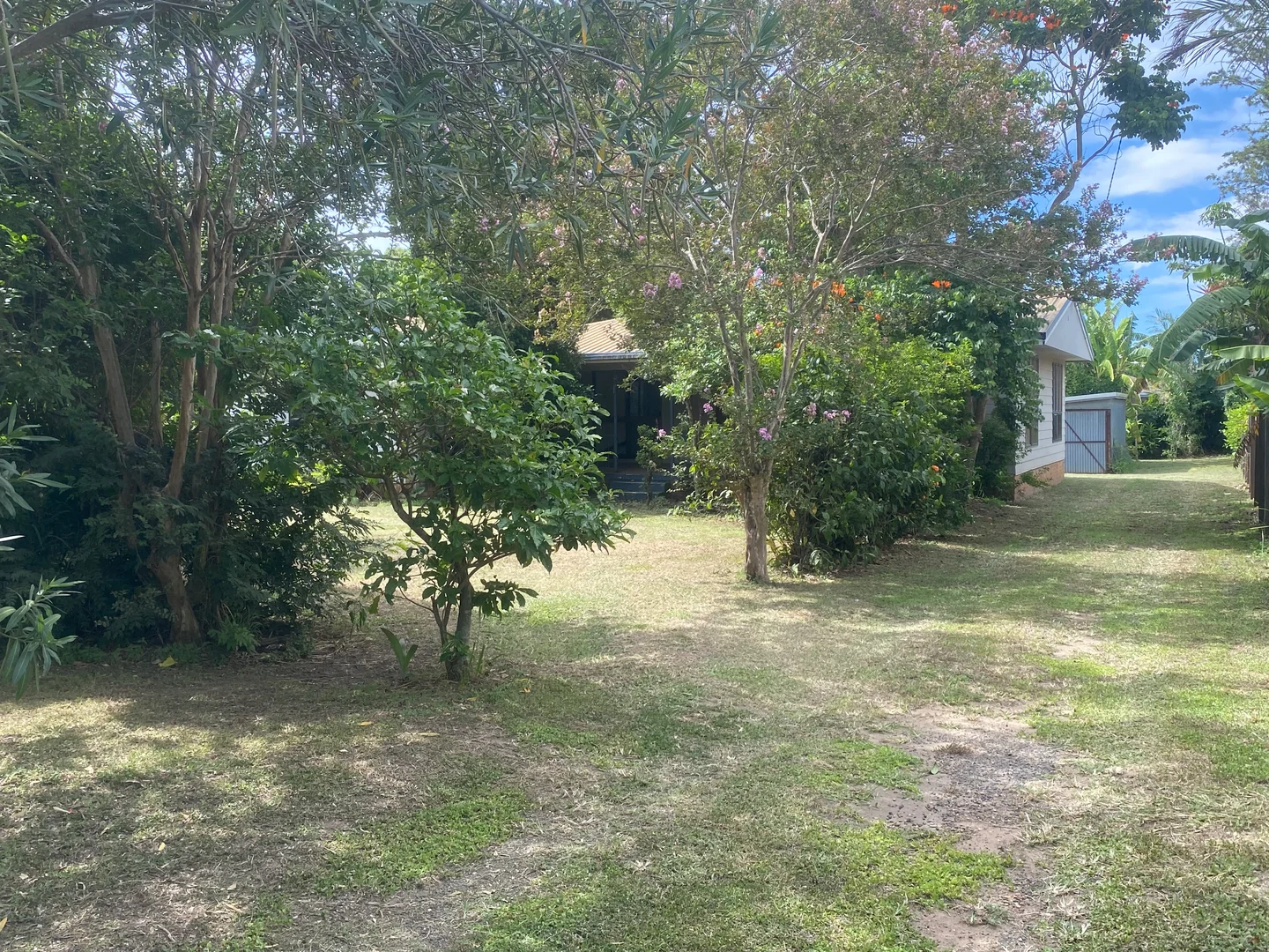 Image 9