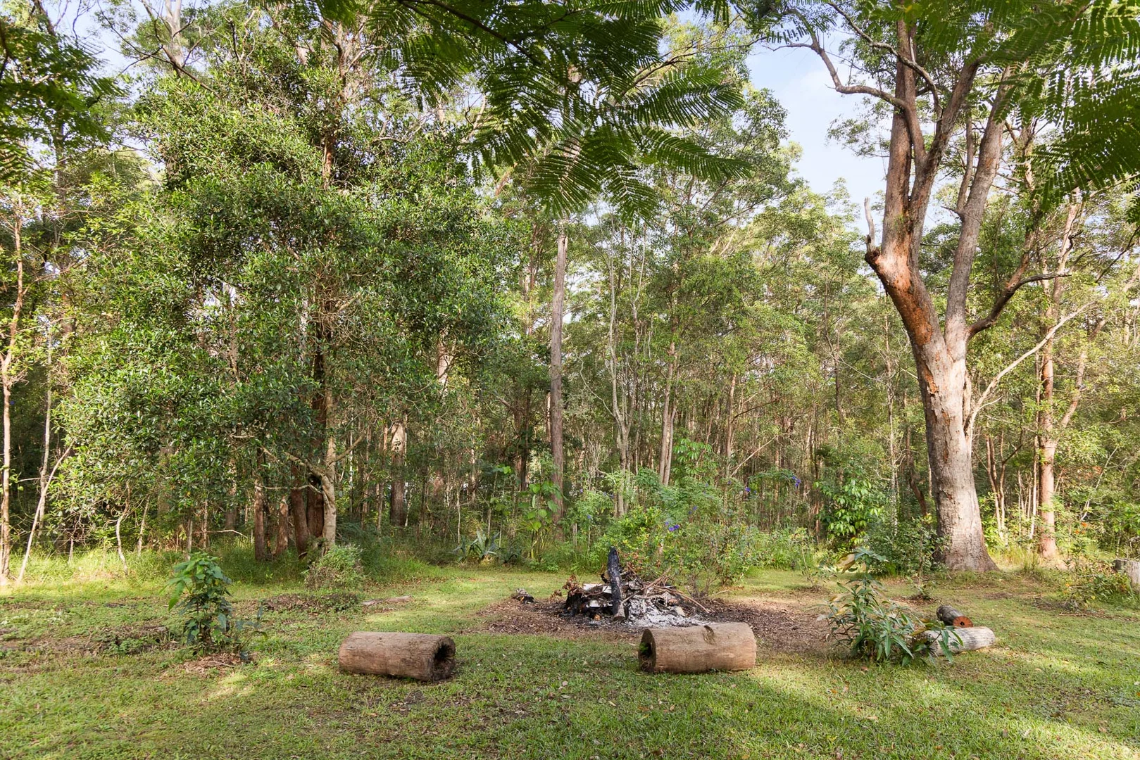 Image 15