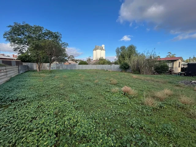 Image 3