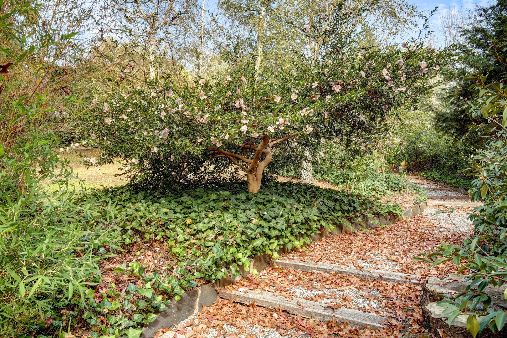 Image 27