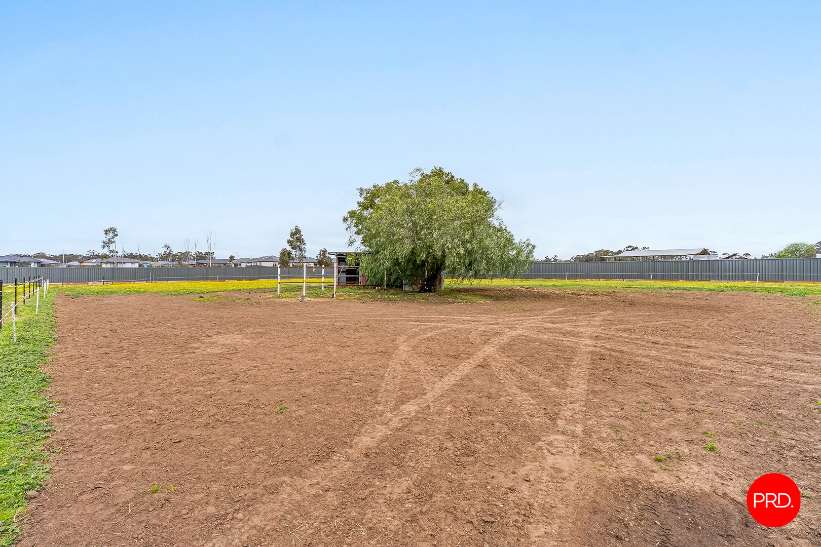 Image 31