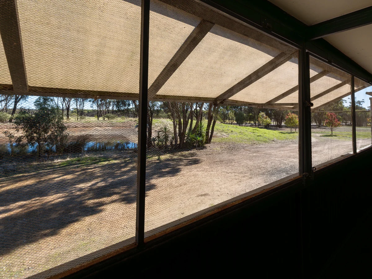 Image 19