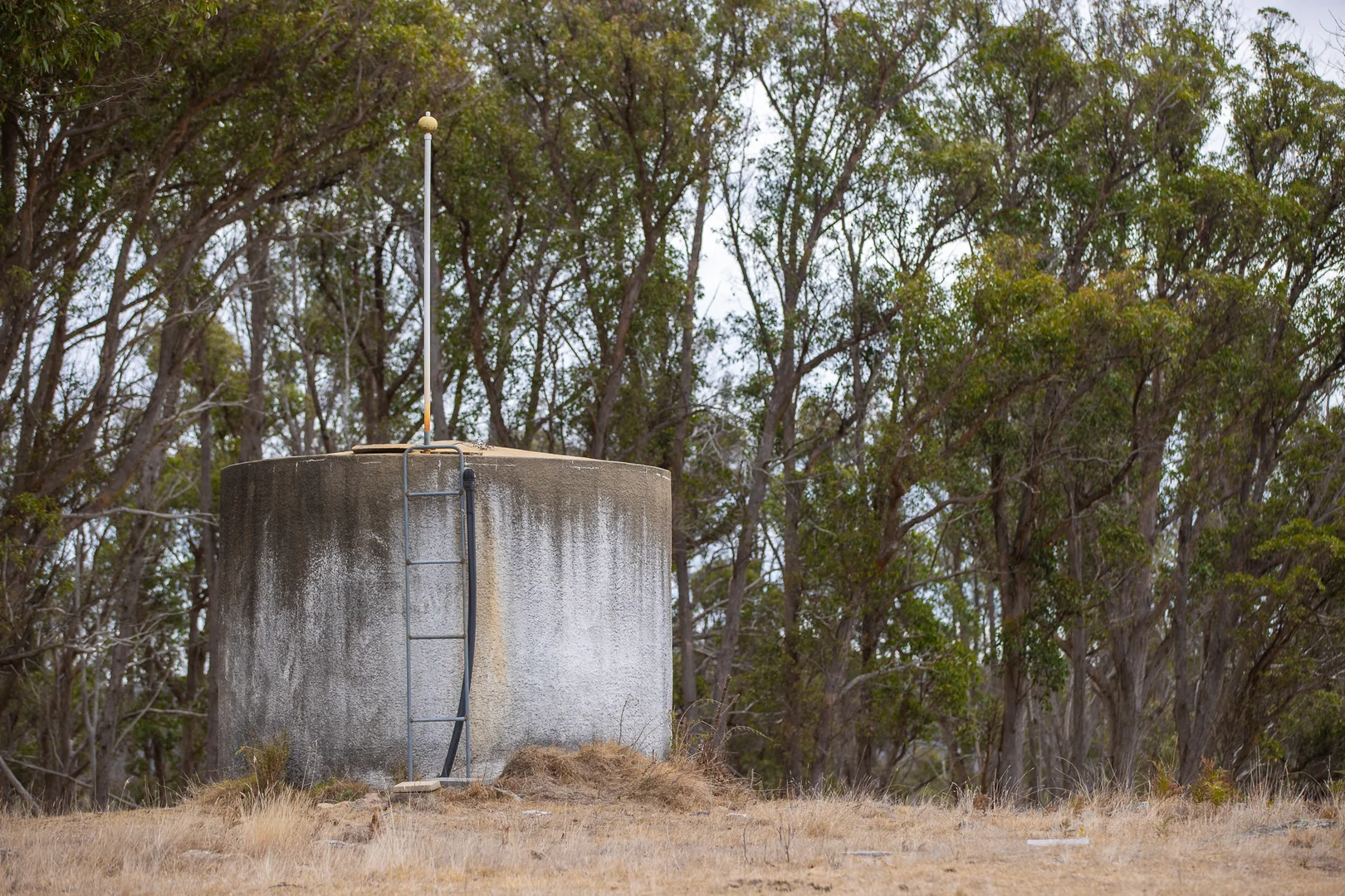 Image 15
